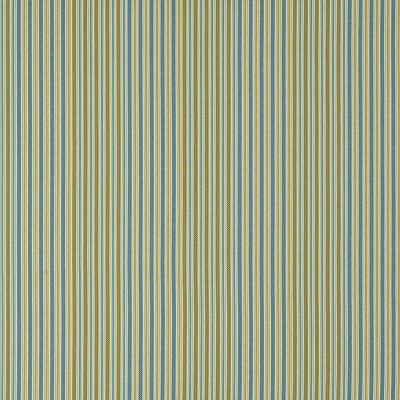 Ткань Pierre Frey fabric F3482002 