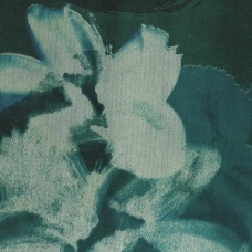 Ткань Rubelli fabric 30213-005 