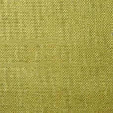 Ткань Pierre Frey fabric F2880027 