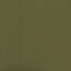 Ткань Rubelli fabric 30099-011 