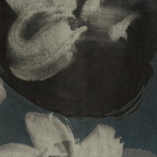 Ткань Rubelli fabric 30213-002 