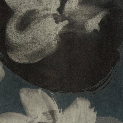 Ткань Rubelli fabric 30213-002 Ткань Rubelli fabric 30213-002