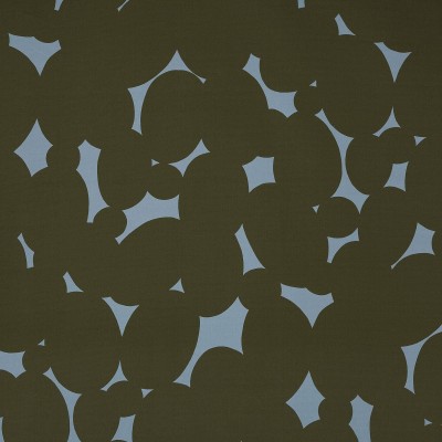 Ткань Pierre Frey fabric F3514003 