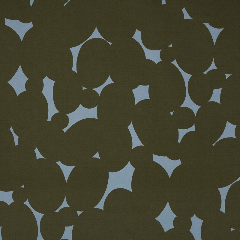 Ткань Pierre Frey fabric F3514003 