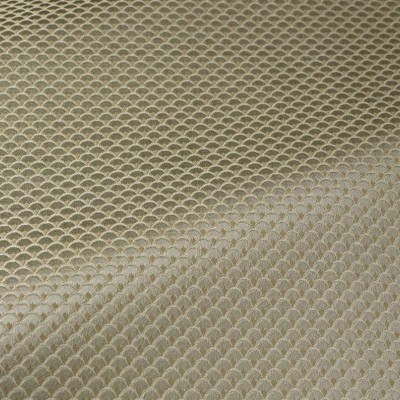 Ткань Pierre Frey fabric B7637002 