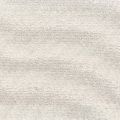 Ткань Rubelli fabric 30173-001 