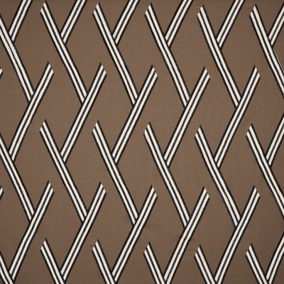 Ткань Pierre Frey fabric O7936001 