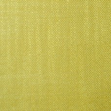 Ткань Pierre Frey fabric F2880026 
