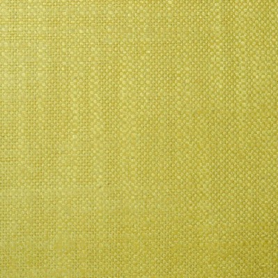 Ткань Pierre Frey fabric F2880026 