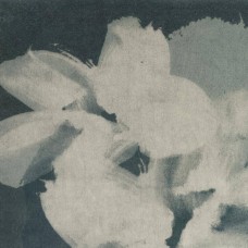 Ткань Rubelli fabric 30213-003 