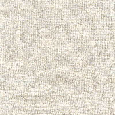 Ткань Rubelli fabric 30319-001 