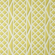 Ткань Pierre Frey fabric F3546001 