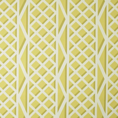 Ткань Pierre Frey fabric F3546001 