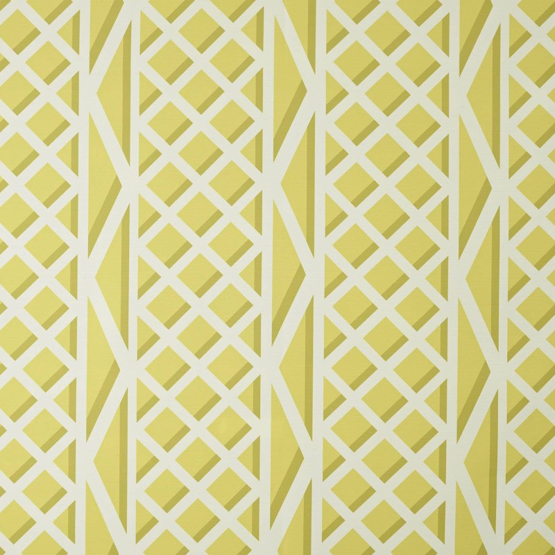 Ткань Pierre Frey fabric F3546001 