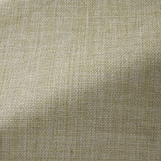 Ткань Pierre Frey fabric F3521003 