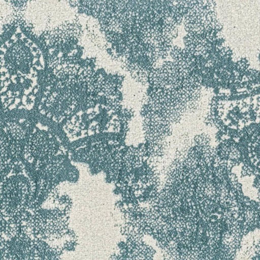 Ткань Rubelli fabric, коллекция FIAMMETTA, артикул 30169-008 Ткань Rubelli fabric, коллекция FIAMMETTA, артикул 30169-008