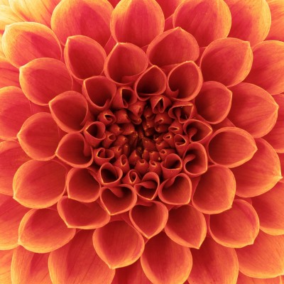 Ткань Rubelli fabric 871046 