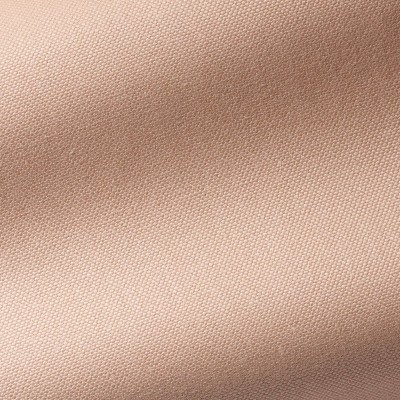 Ткань Pierre Frey fabric F3264001 