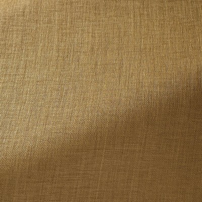 Ткань Pierre Frey fabric F3533005 