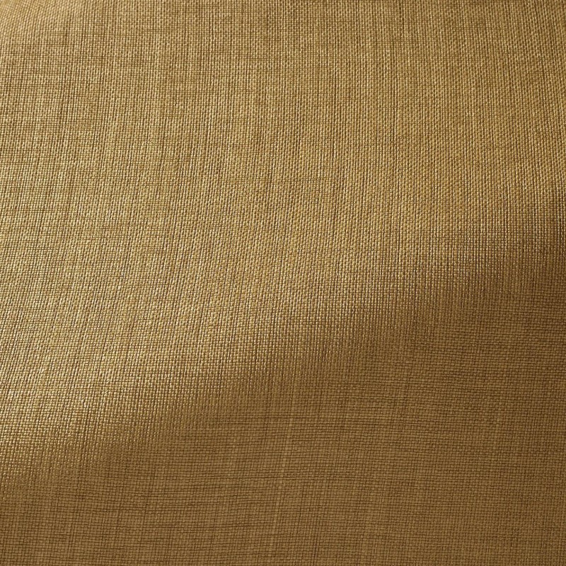 Ткань Pierre Frey fabric F3533005 
