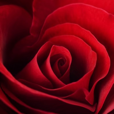 Ткань Rubelli fabric 871040 