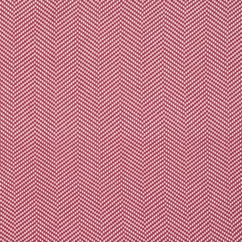 Ткань Pierre Frey fabric O7956011 