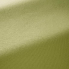 Ткань Pierre Frey fabric F3522019 