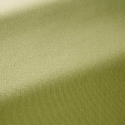 Ткань Pierre Frey fabric F3522019 