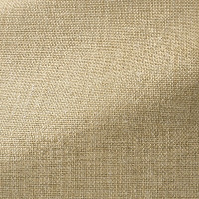 Ткань Pierre Frey fabric F3521004 Ткань Pierre Frey fabric F3521004