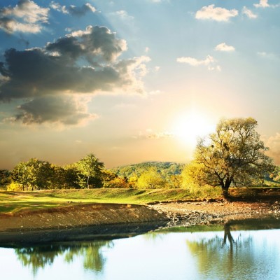 Ткань Rubelli fabric 871030 