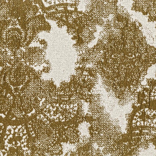 Ткань Rubelli fabric, коллекция FIAMMETTA, артикул 30169-007 Ткань Rubelli fabric, коллекция FIAMMETTA, артикул 30169-007