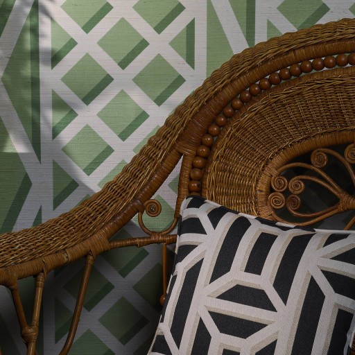 Ткань Pierre Frey fabric, коллекция Terrasse, артикул  F3481003