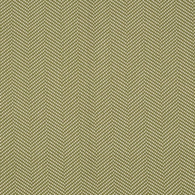 Ткань Pierre Frey fabric O7956005 