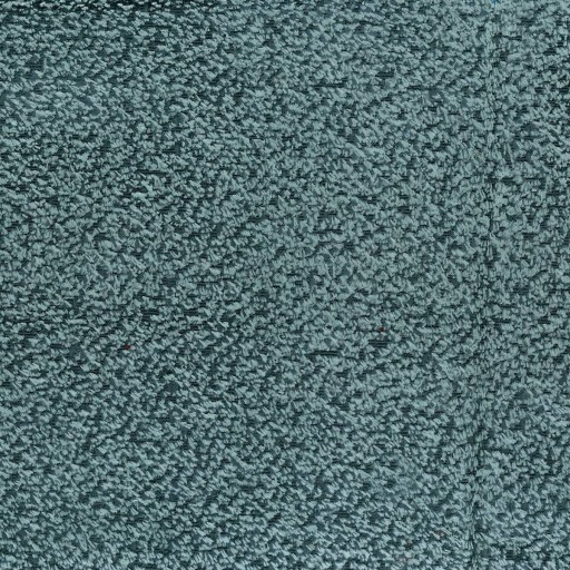 Ткань Osborne-Little fabric, коллекция Ariadne Velvets, артикул  F7291-01