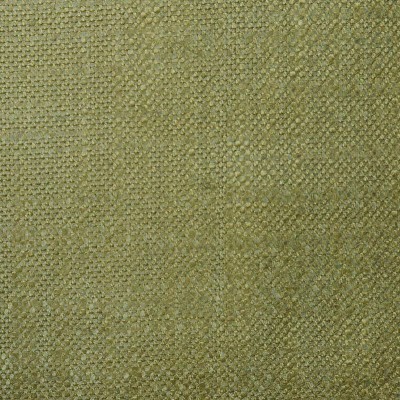 Ткань Pierre Frey fabric F2880028 
