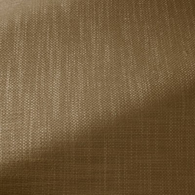 Ткань Pierre Frey fabric F3474010 