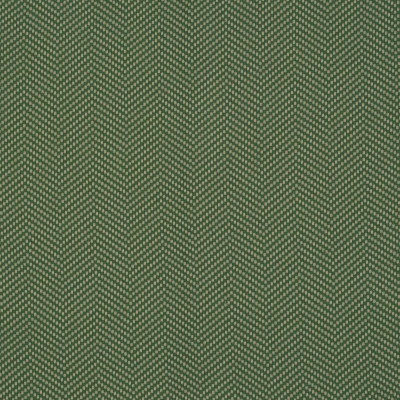 Ткань Pierre Frey fabric O7956006 