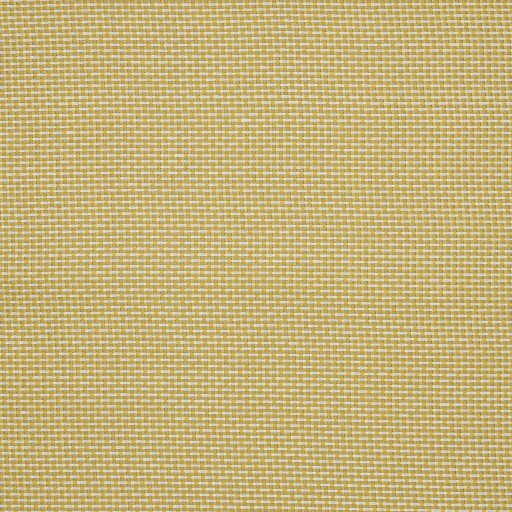 Ткань Pierre Frey fabric, коллекция Arles, артикул  F3543018