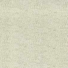 Ткань Rubelli fabric 08003-002 