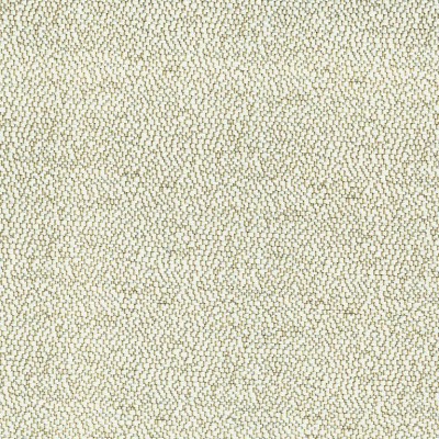 Ткань Rubelli fabric 08003-002 