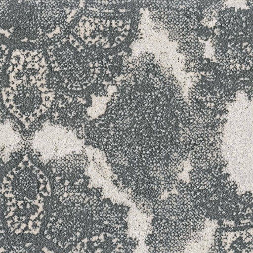 Ткань Rubelli fabric, коллекция FIAMMETTA, артикул  30169-005