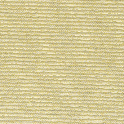 Ткань Rubelli fabric 30113-007 