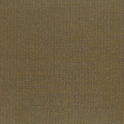 Ткань Rubelli fabric 30265-009 