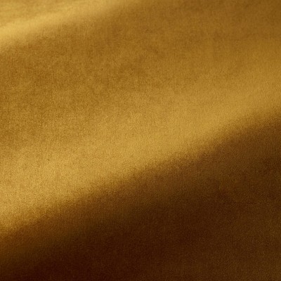 Ткань Pierre Frey fabric F3370026 