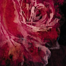 Ткань Rubelli fabric 30123-001 