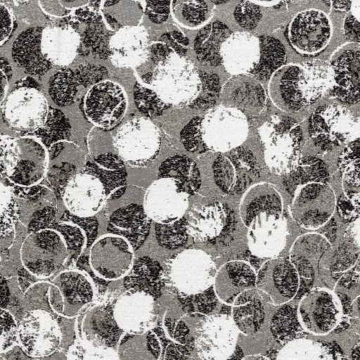 Ткань Rubelli fabric, коллекция GIOTTO, артикул  30164-001