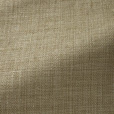 Ткань Pierre Frey fabric F3521007 