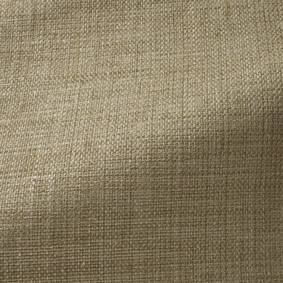 Ткань Pierre Frey fabric F3521007 Ткань Pierre Frey fabric F3521007