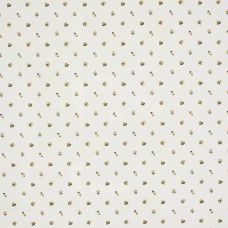 Ткань Pierre Frey fabric F3526001 