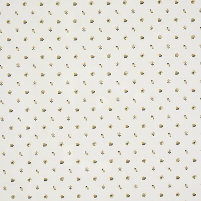 Ткань Pierre Frey fabric F3526001 